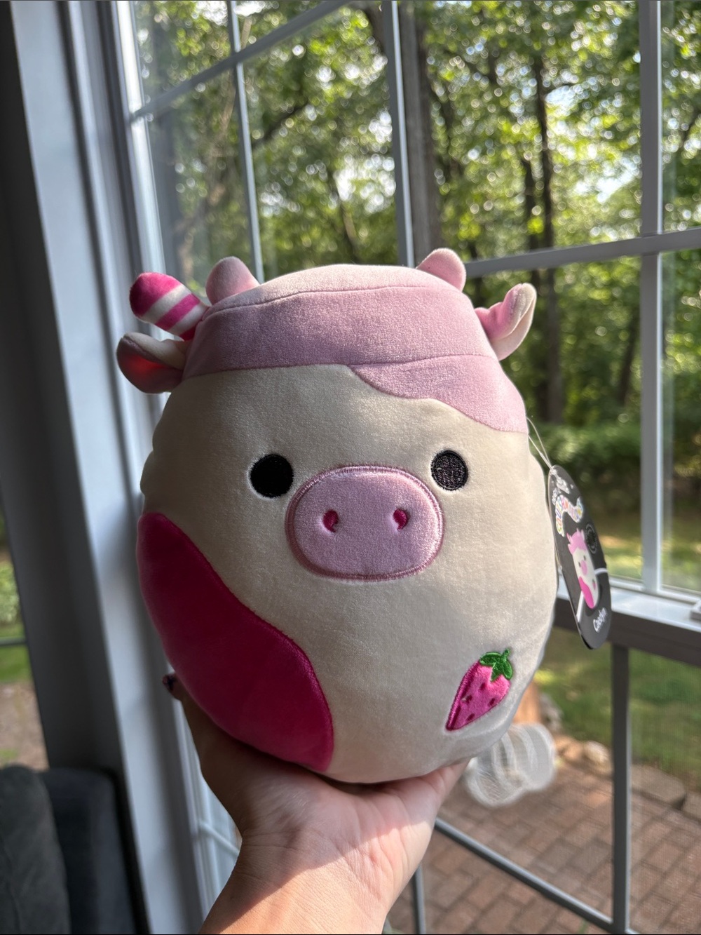 Select series SS Caedyn the strawberry milk scented cow squishmallow NWT 8in